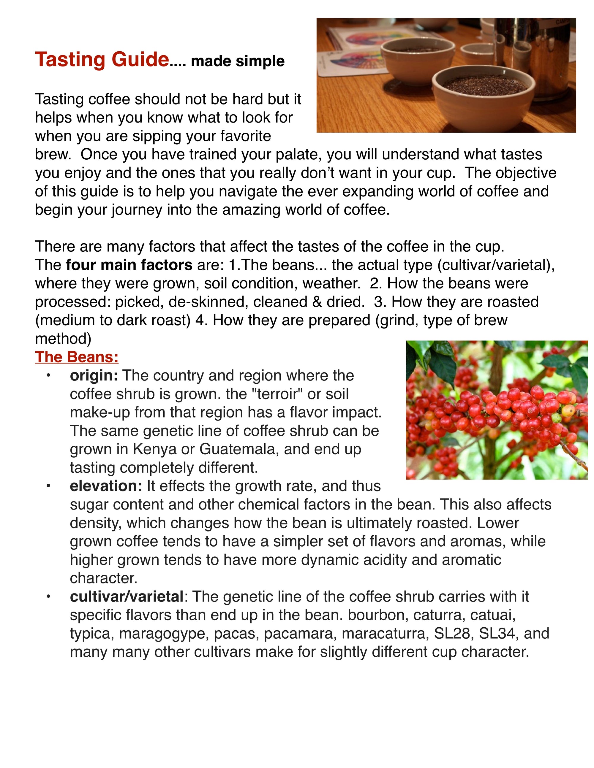 Discovering the amazing world of coffee